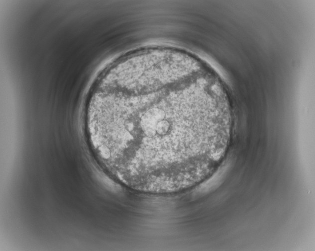 X0000113030832200910081218