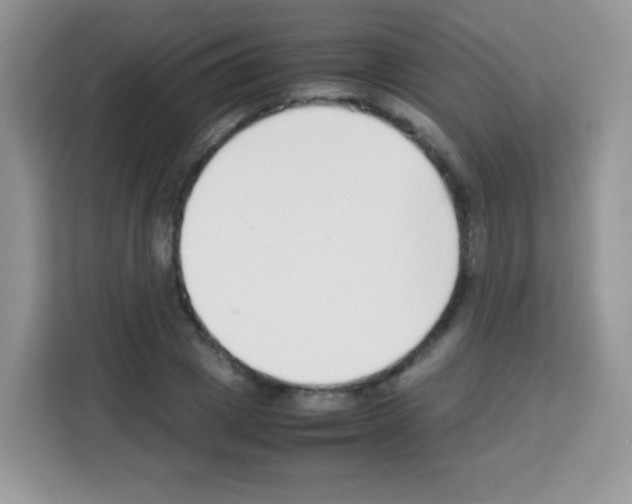X0000113030833200910081218