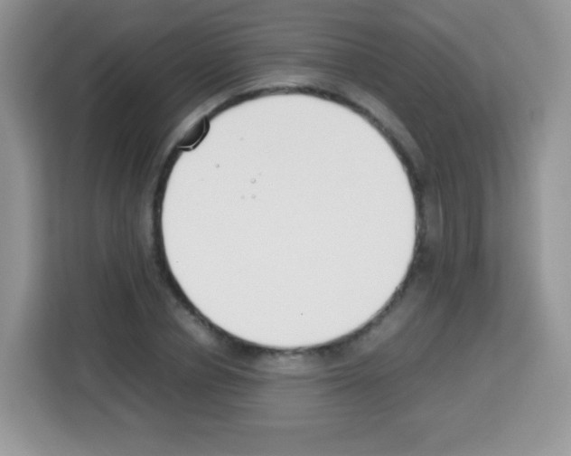 X0000113030834200910081218