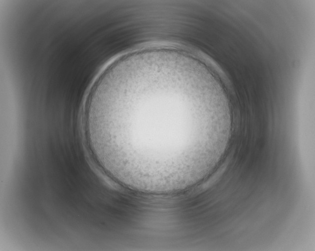 X0000113030836200910081218