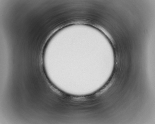 X0000113030837200910081218