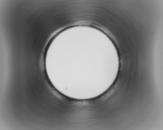 X0000113030838200910081218