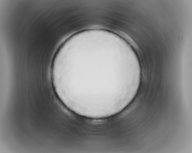 X0000113030839200910081218