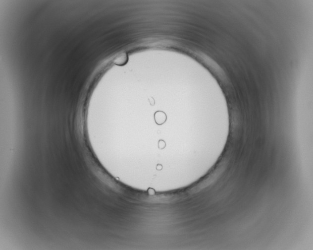 X0000113030840200910081218