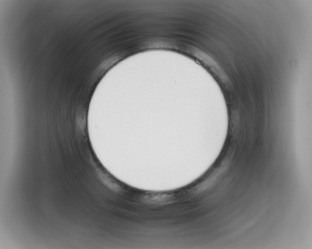 X0000113030841200910081218