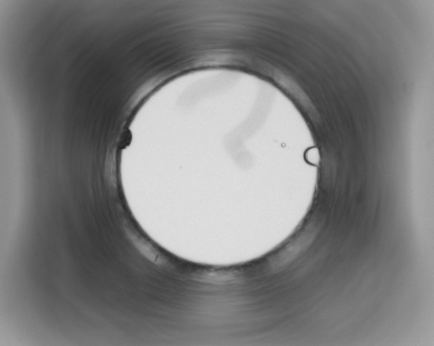 X0000113030842200910081218