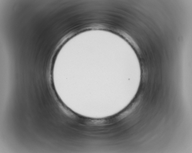 X0000113030845200910081218