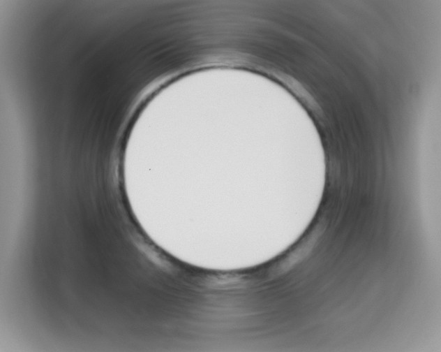 X0000113030846200910081218