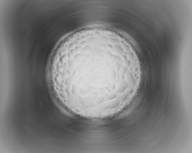X0000113030848200910081218