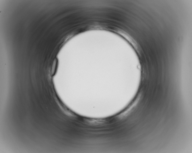 X0000113030849200910081218