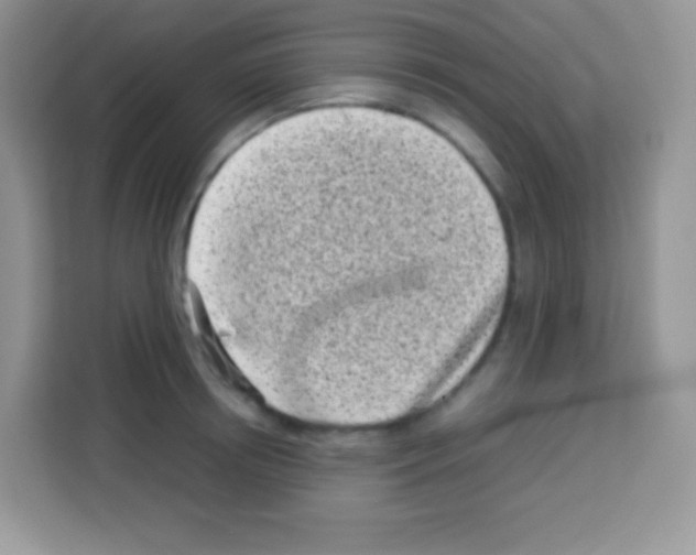 X0000113030850200910081218