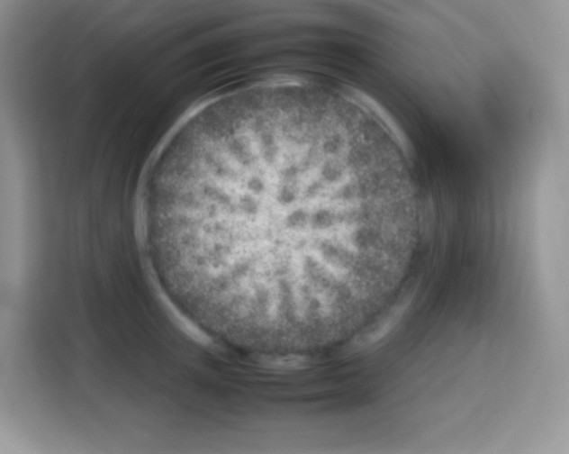 X0000113030851200910081218