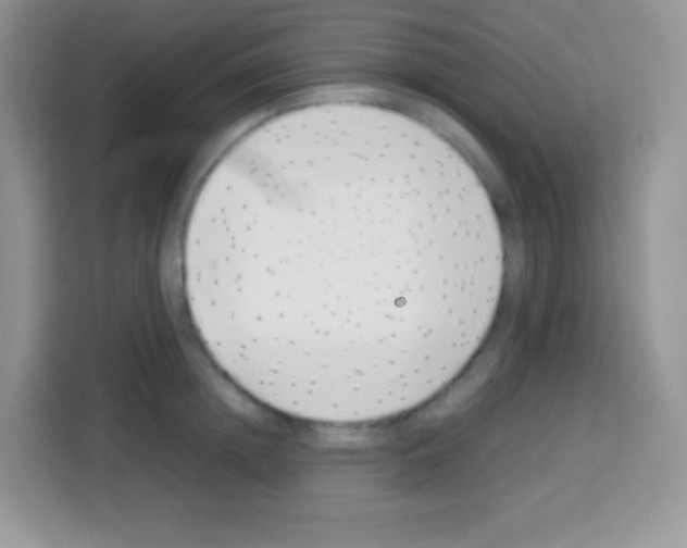 X0000113030852200910081218