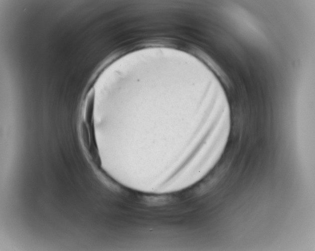X0000113030853200910081218