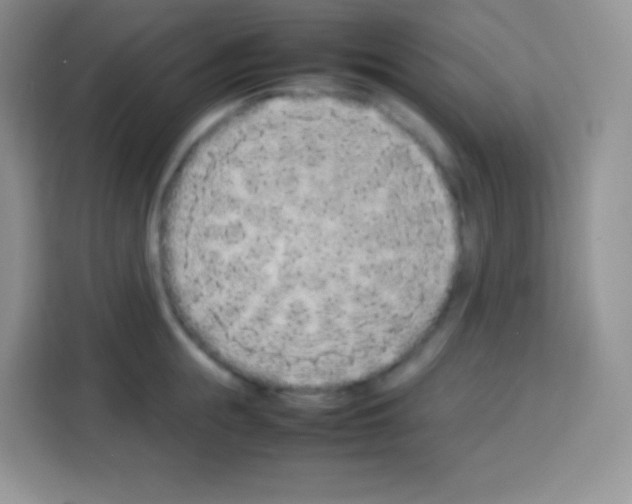 X0000113030855200910081218