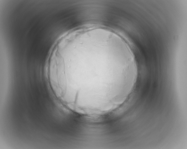 X0000113030856200910081218