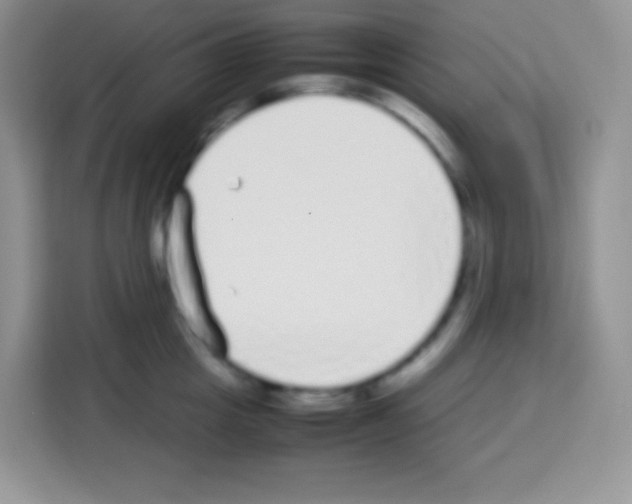 X0000113030857200910081218