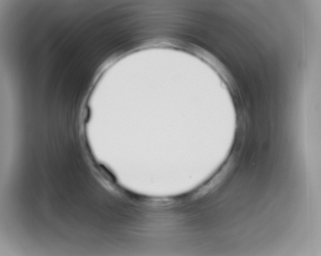 X0000113030858200910081218