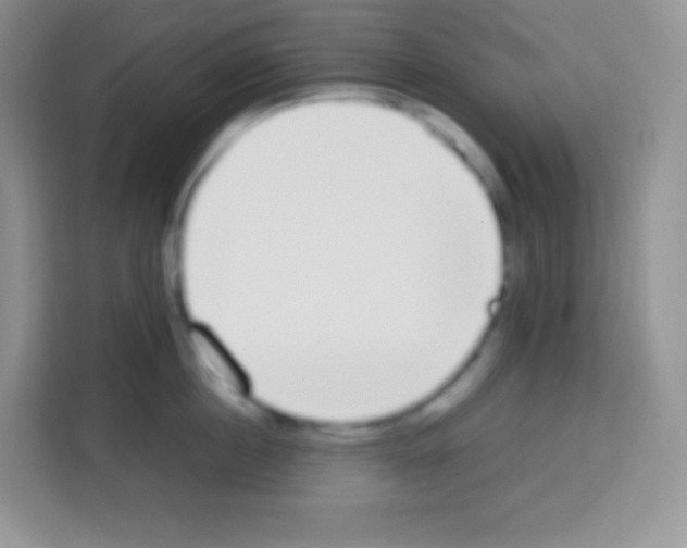 X0000113030860200910081218