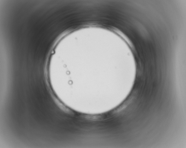 X0000113030861200910081218
