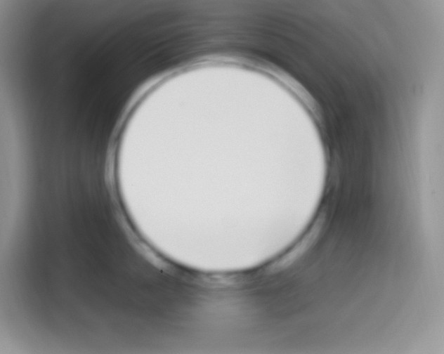 X0000113030862200910081218