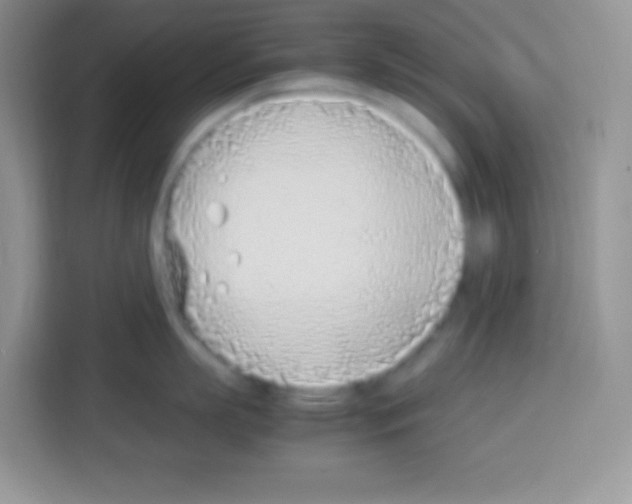 X0000113030863200910081219