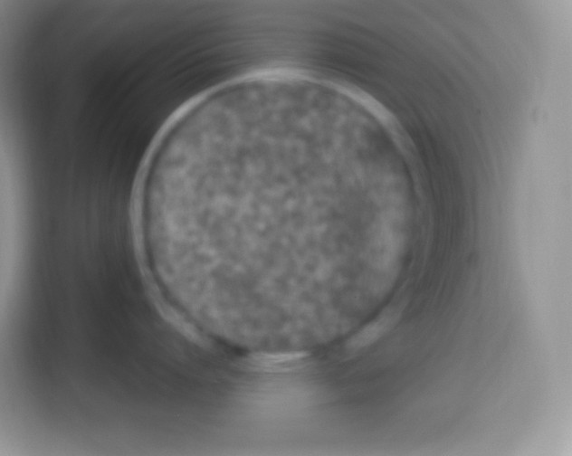 X0000113030864200910081219