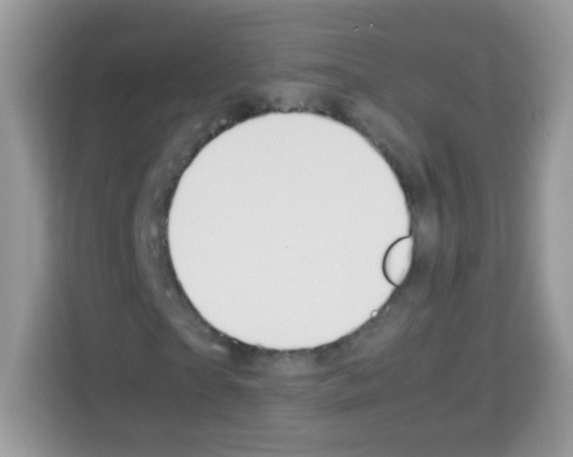 X0000113030865200910081218