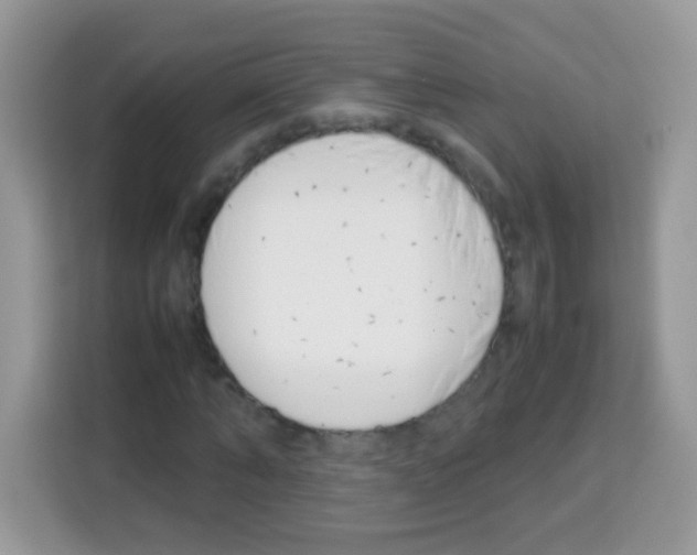 X0000113030870200910081218
