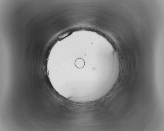 X0000113030872200910081218