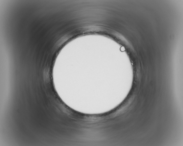 X0000113030873200910081218