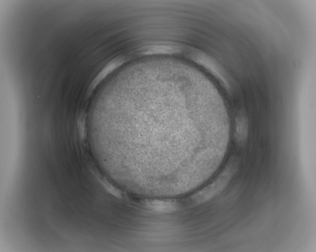 X0000113030874200910081218