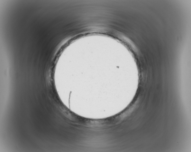 X0000113030875200910081218
