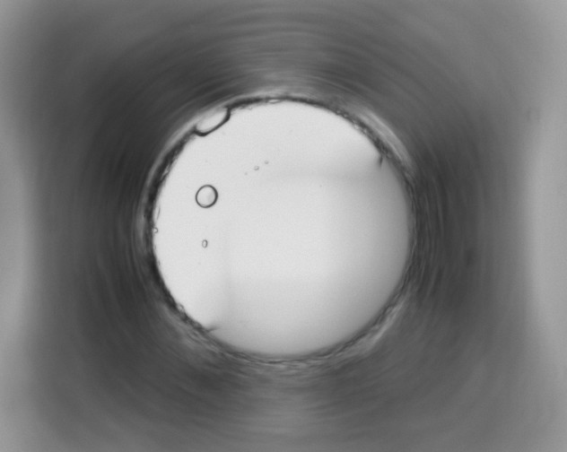 X0000113030876200910081218