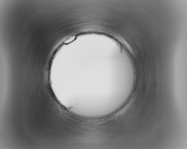 X0000113030877200910081218