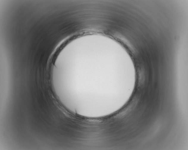 X0000113030878200910081218