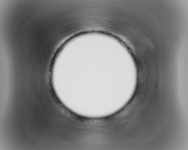 X0000113030879200910081218