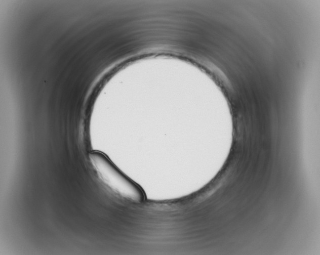 X0000113030880200910081218