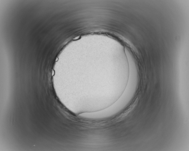 X0000113030881200910081218