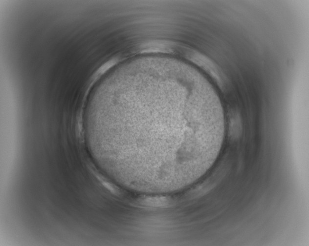 X0000113030882200910081218