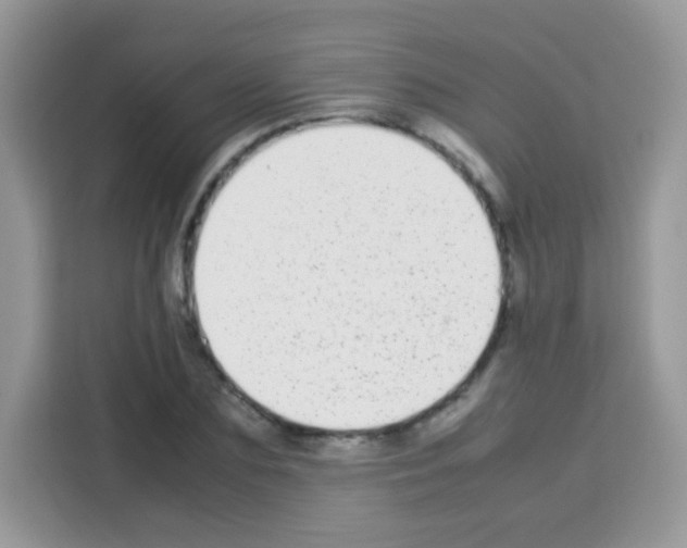 X0000113030883200910081218