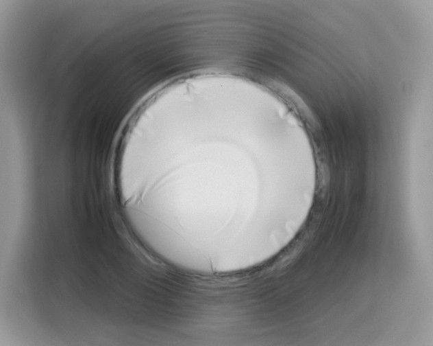 X0000113030884200910081218