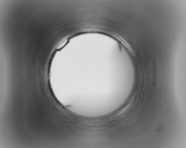 X0000113030885200910081218