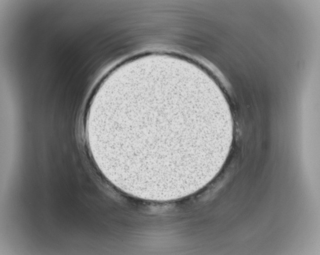 X0000113030887200910081218