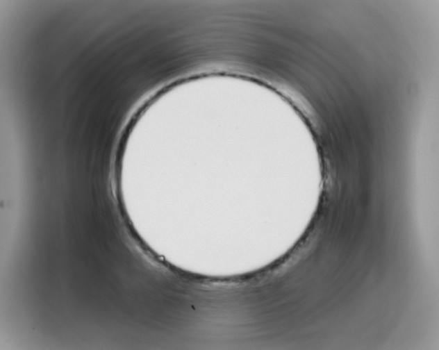 X0000113030888200910081218