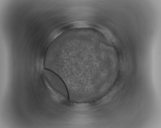 X0000113030889200910081218