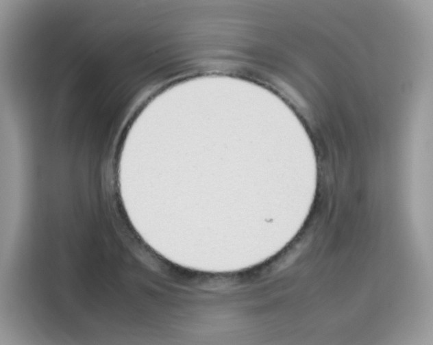 X0000113030891200910081218