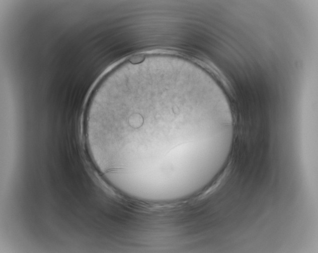 X0000113030892200910081218
