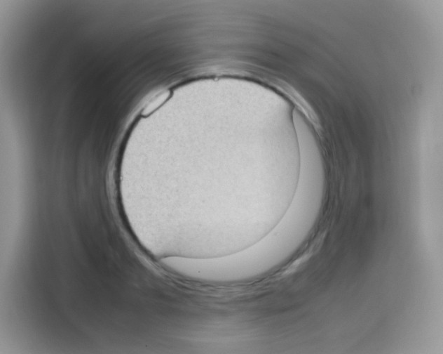 X0000113030893200910081218