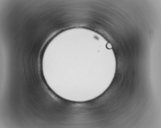 X0000113030894200910081218